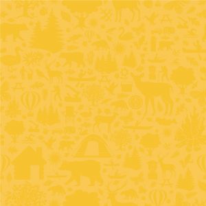 Pauw Foundation - Yellow